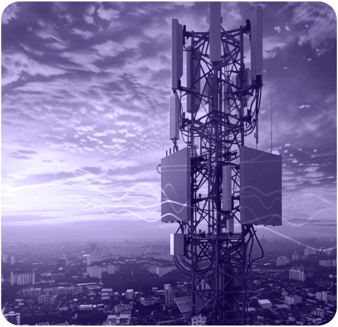 Mobile network tower carrying radio equipment